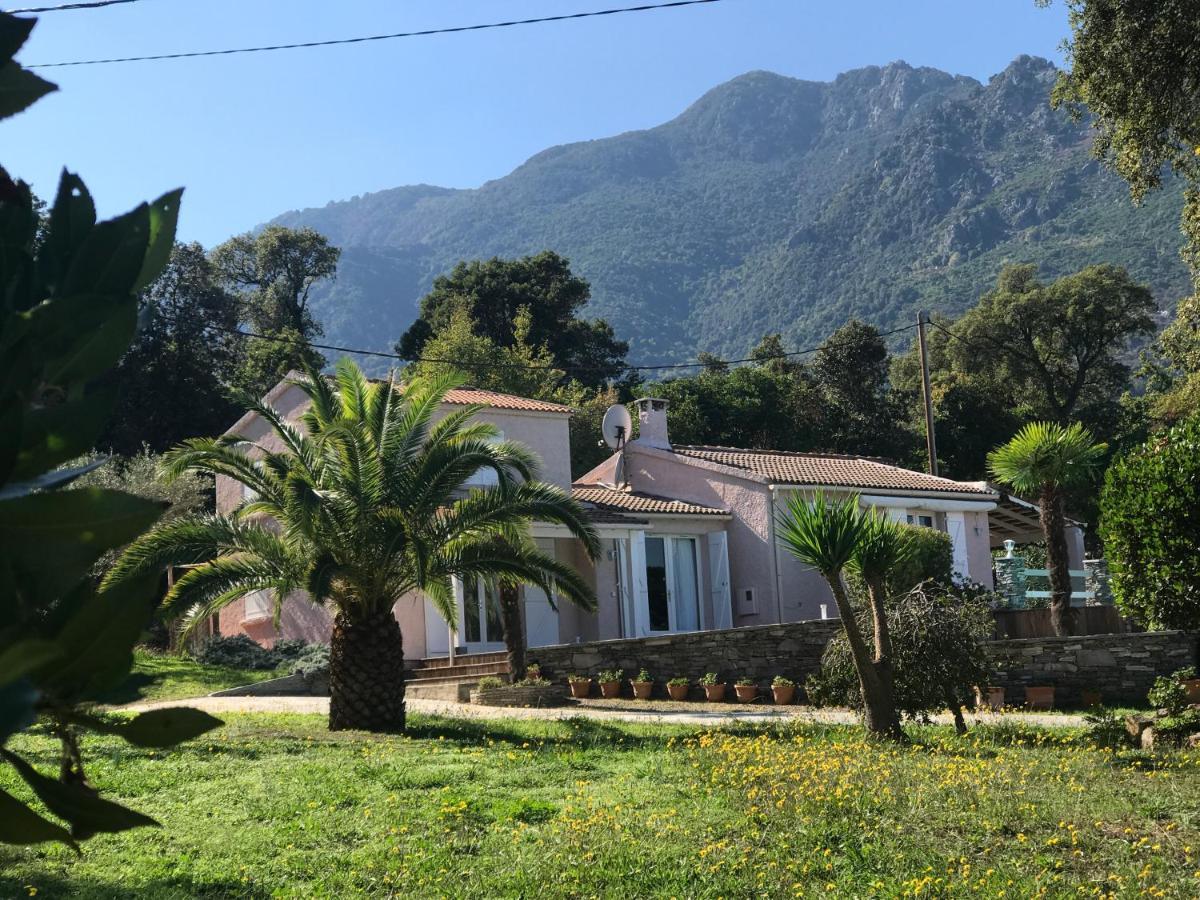 Chambre Hotes Carpe Diem Santa-Maria-Poggio  Kültér fotó